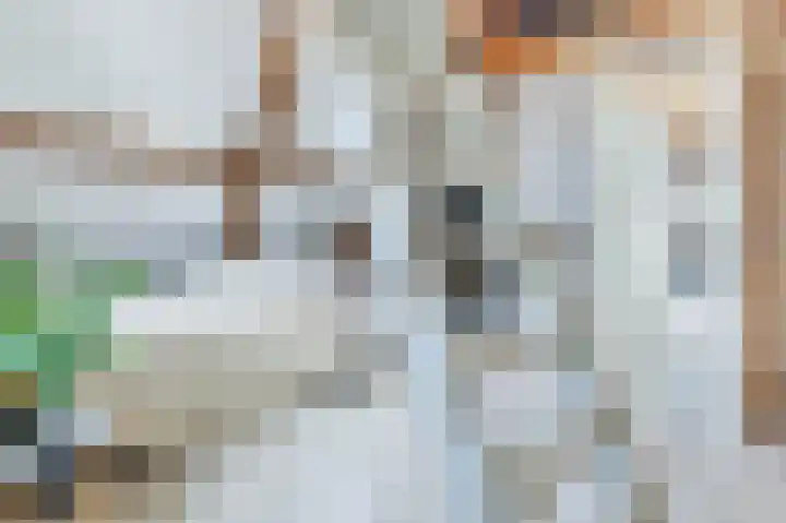 Krommenieërpad 82 Wormerveer thumbnail 32