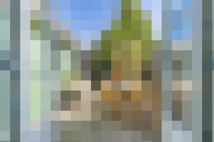 Krommenieërpad 82 Wormerveer thumbnail 37