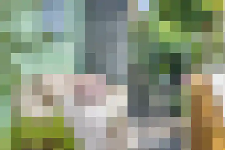 Krommenieërpad 82 Wormerveer thumbnail 39