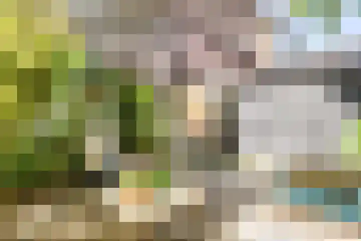 Krommenieërpad 82 Wormerveer thumbnail 42