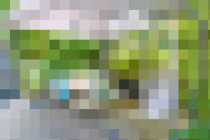 Krommenieërpad 82 Wormerveer thumbnail 5