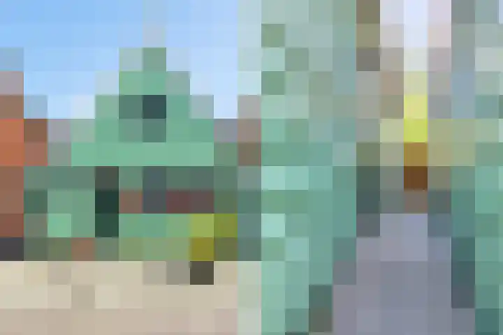 Krommenieërpad 82 Wormerveer thumbnail 8