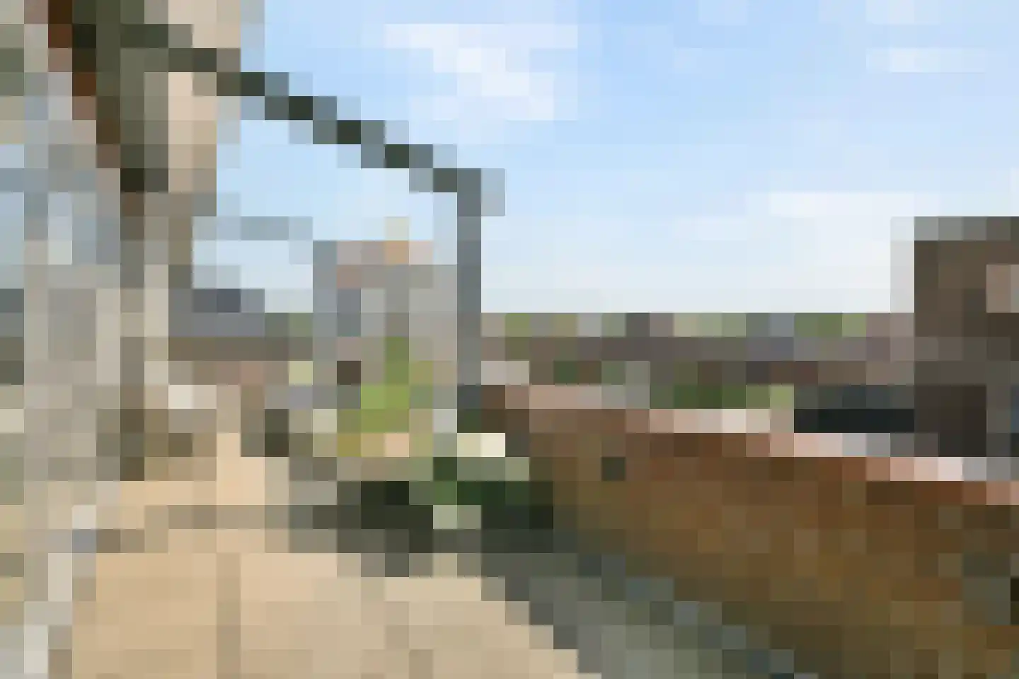 Krommenieërpad 87 Wormerveer thumbnail 10