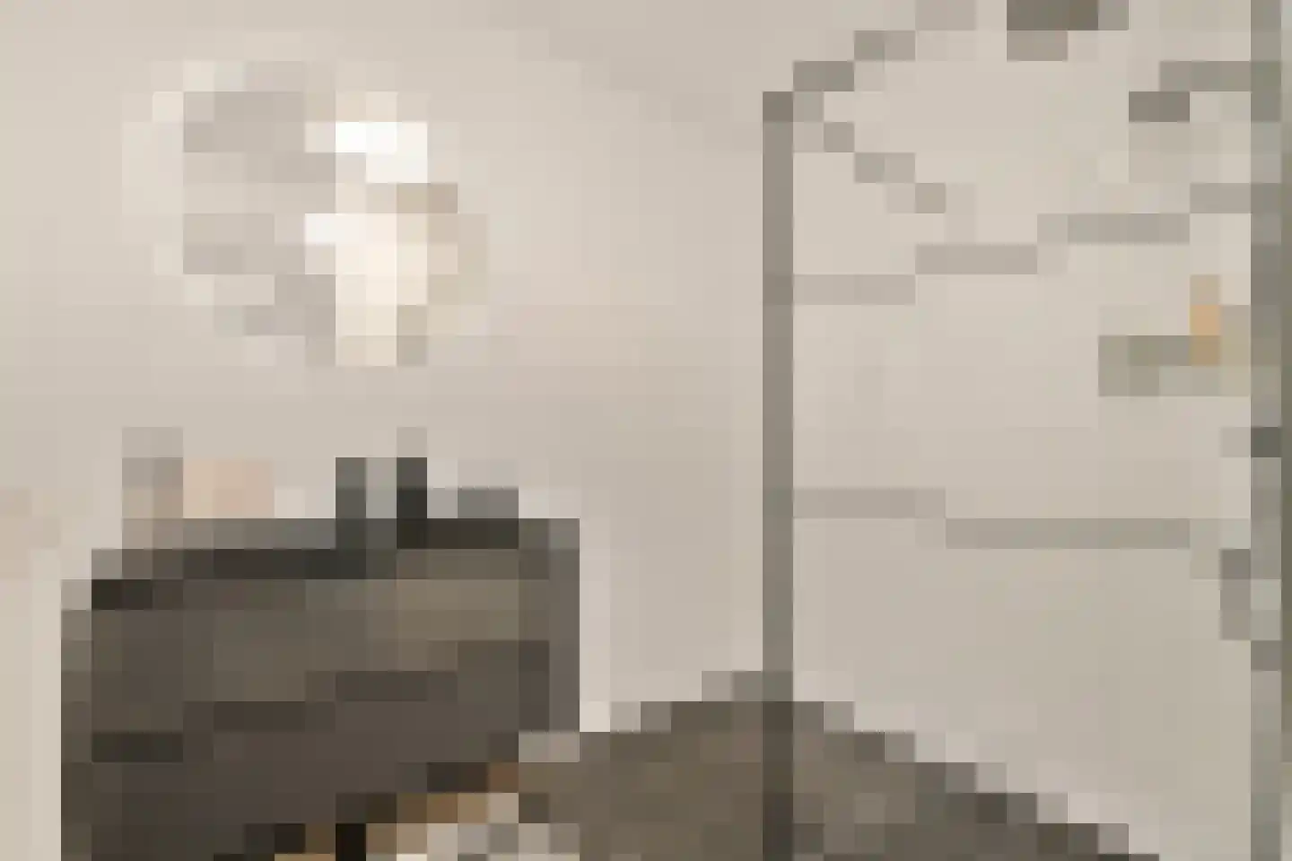 Krommenieërpad 87 Wormerveer thumbnail 15