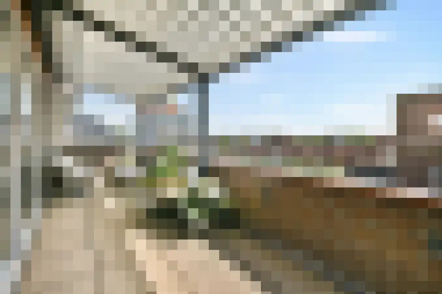 Krommenieërpad 87 Wormerveer foto 2