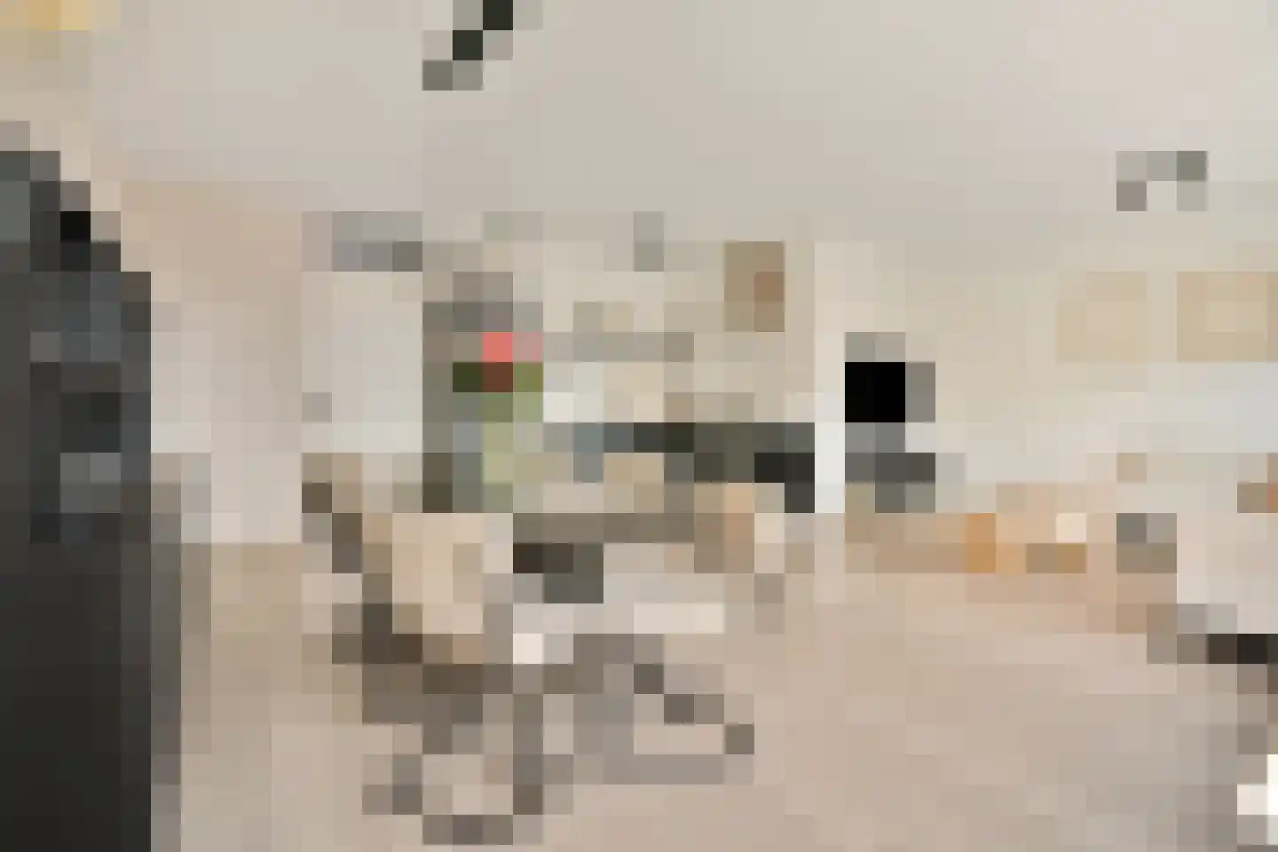 Krommenieërpad 87 Wormerveer thumbnail 8