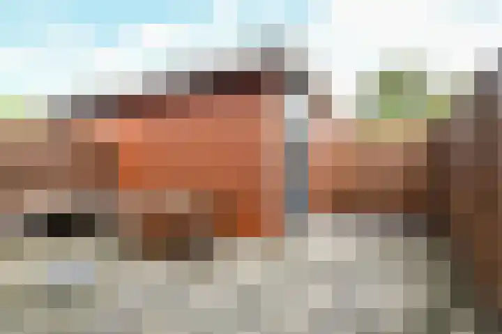 Krommenieërpad 90 Wormerveer thumbnail 12