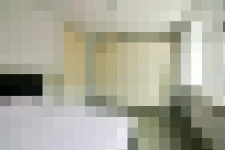 Krommenieërpad 90 Wormerveer thumbnail 17