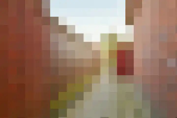 Krommenieërpad 90 Wormerveer thumbnail 29