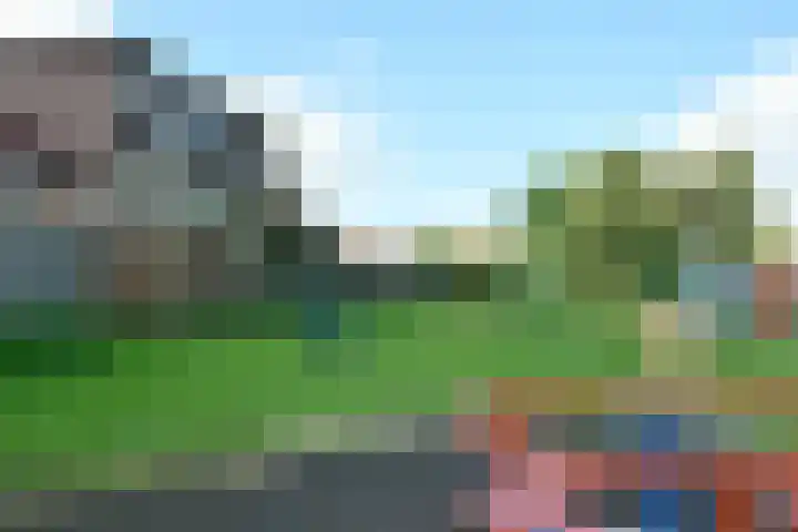 Krommenieërpad 90 Wormerveer thumbnail 31