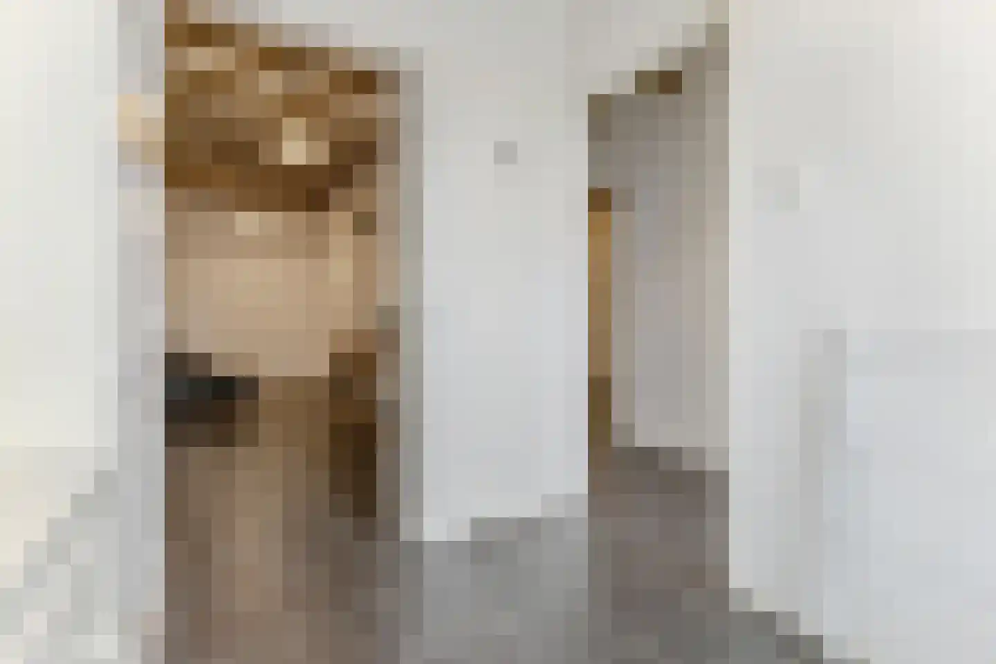 Krommenieërweg 101 Wormerveer thumbnail 13
