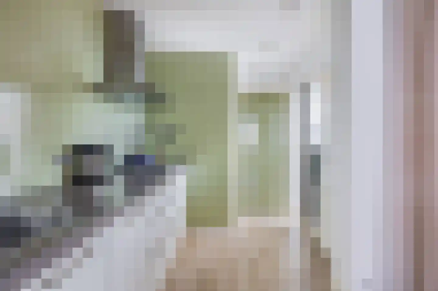 Krommenieërweg 251 Wormerveer thumbnail 17