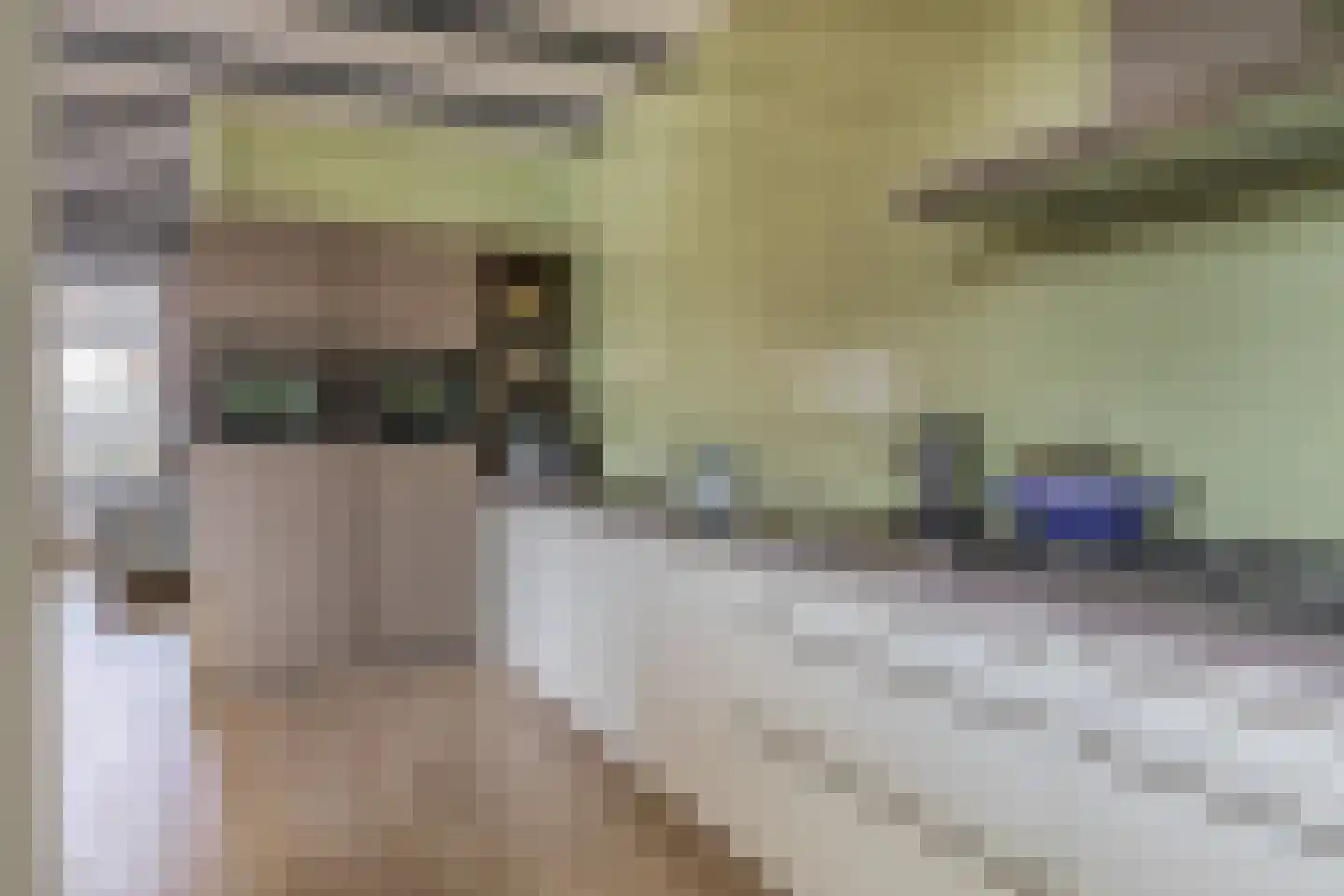 Krommenieërweg 251 Wormerveer thumbnail 18