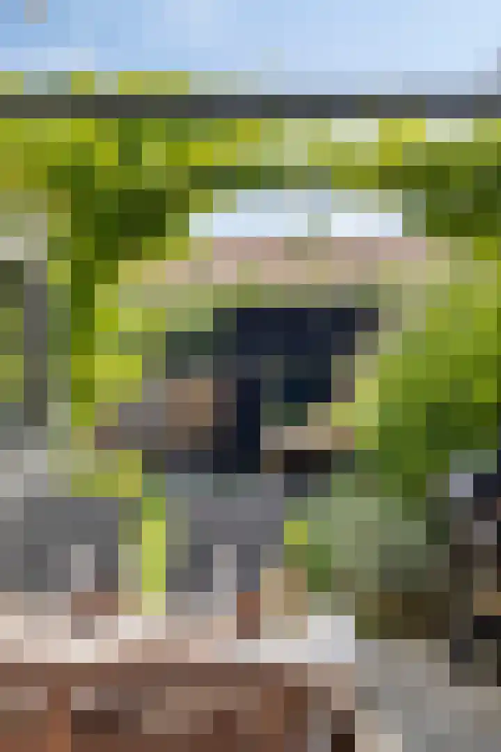 Krommenieërweg 259 Wormerveer thumbnail 34