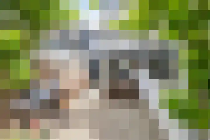 Krommenieërweg 259 Wormerveer thumbnail 35