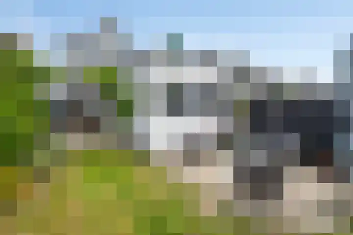 Krommenieërweg 259 Wormerveer thumbnail 4
