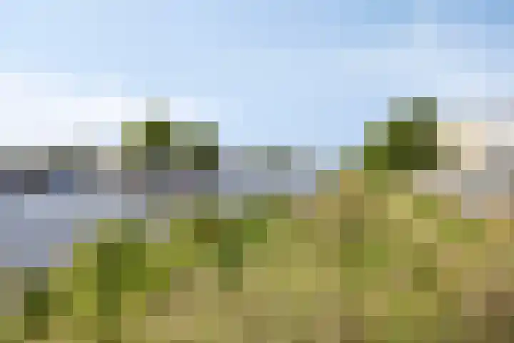 Krommenieërweg 259 Wormerveer thumbnail 41
