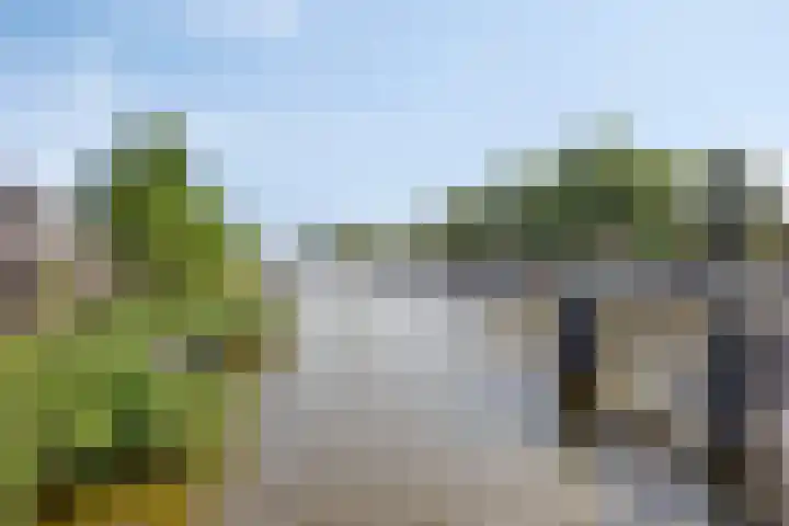 Krommenieërweg 259 Wormerveer thumbnail 43