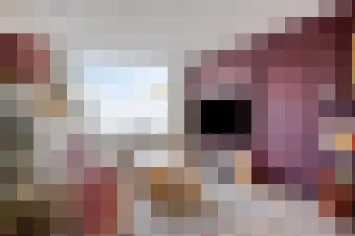 Krommenieërweg 259 Wormerveer thumbnail 9