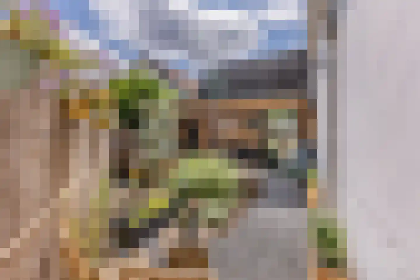 Krommenieërweg 271 Wormerveer thumbnail 21