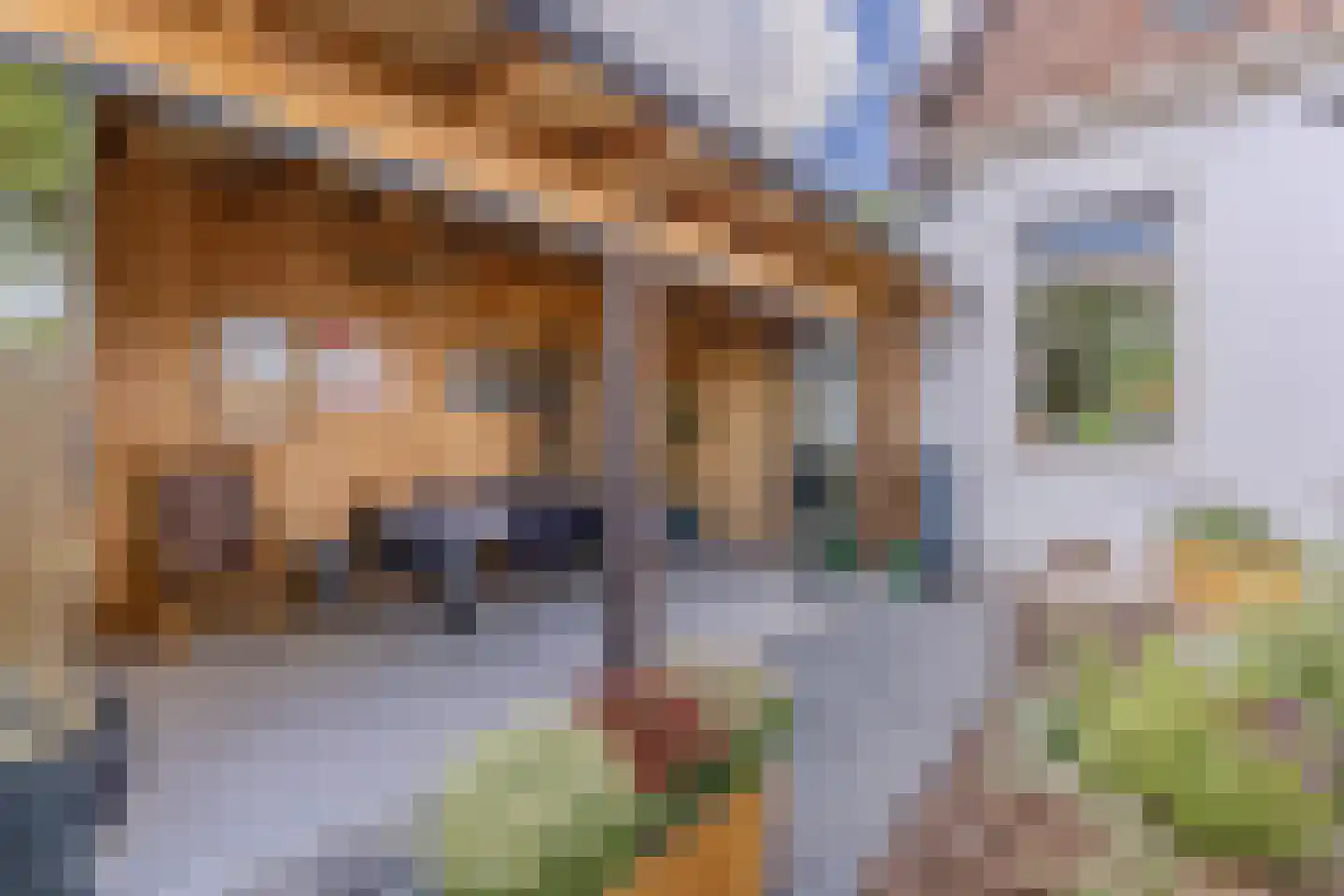 Krommenieërweg 271 Wormerveer thumbnail 23