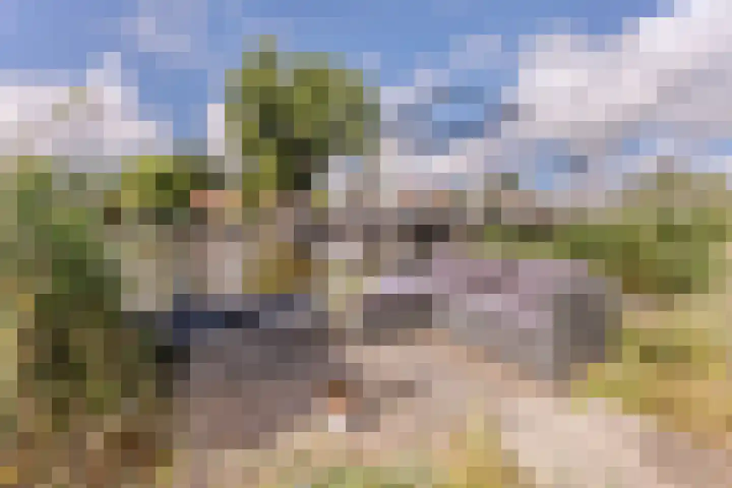 Krommenieërweg 271 Wormerveer thumbnail 29