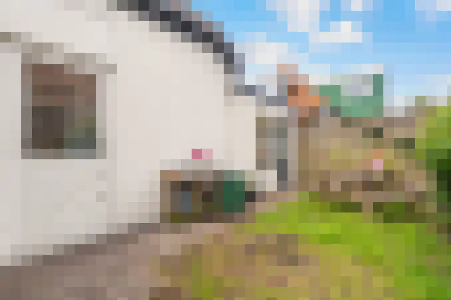 Krommenieërweg 284 Wormerveer thumbnail 19