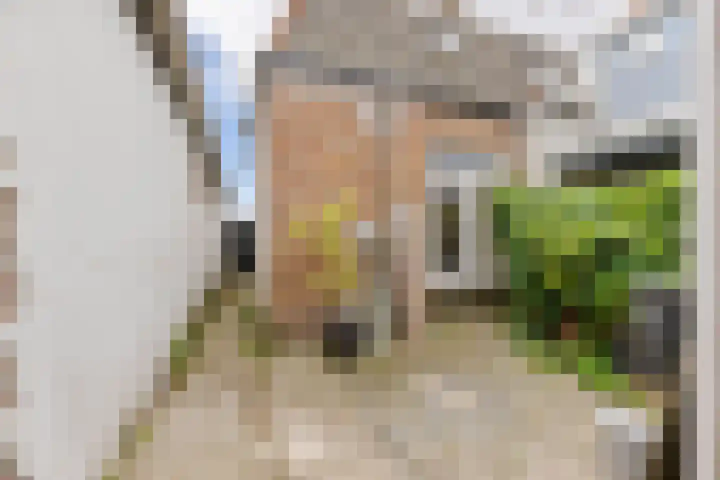 Krommenieërweg 78 Wormerveer thumbnail 9