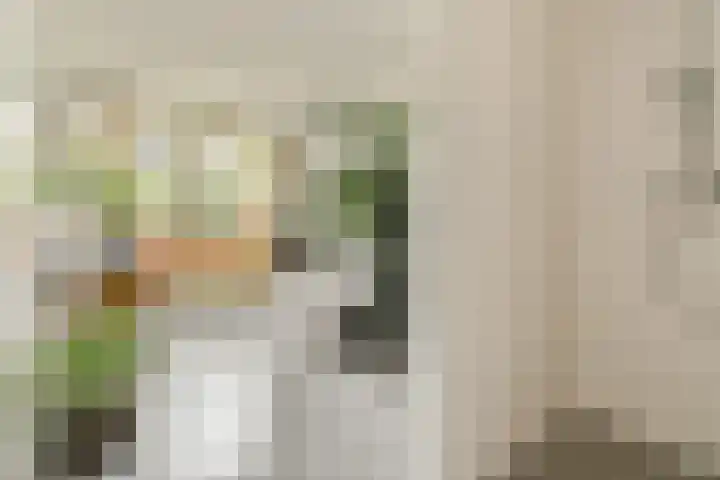 Krommeniestraat 45 Amsterdam thumbnail 14