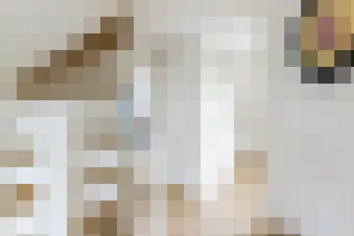 Krommeniestraat 62 Tilburg thumbnail 25