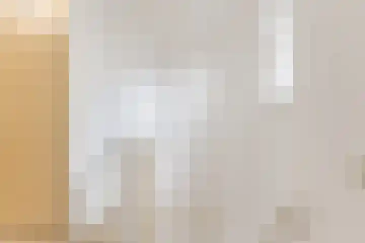 Krommeniestraat 62 Tilburg thumbnail 30