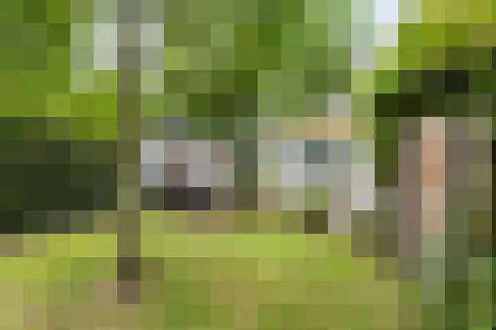 Krommeniestraat 62 Tilburg thumbnail 31