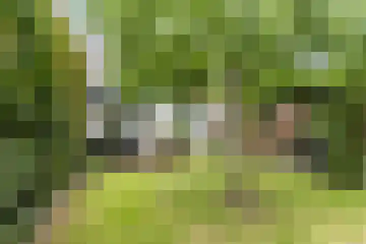 Krommeniestraat 62 Tilburg thumbnail 32