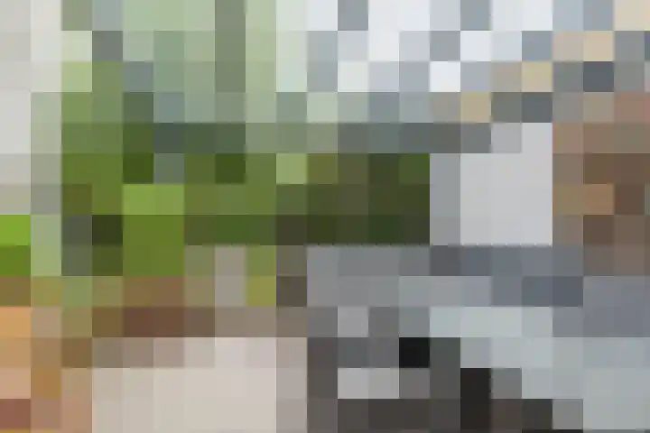 Krommeniestraat 62 Tilburg thumbnail 35