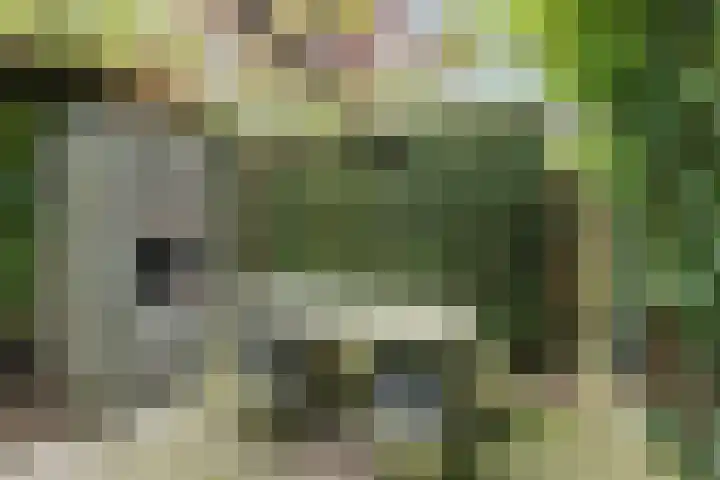 Krommeniestraat 62 Tilburg thumbnail 36