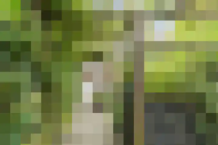 Krommeniestraat 62 Tilburg thumbnail 38