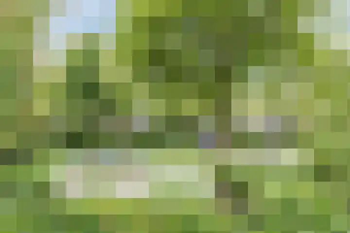 Krommeniestraat 62 Tilburg thumbnail 39