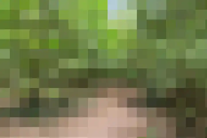 Krommeniestraat 62 Tilburg thumbnail 44
