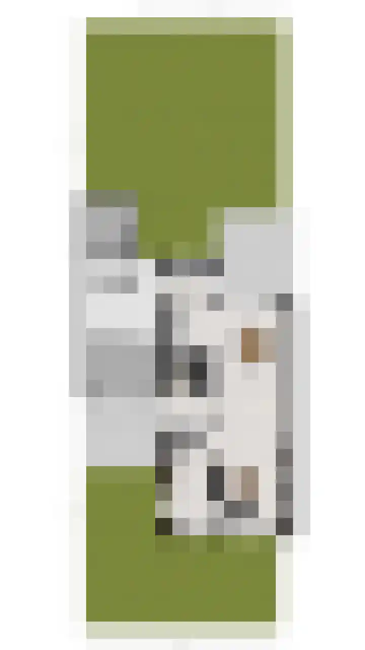 Krommeniestraat 62 Tilburg thumbnail 46
