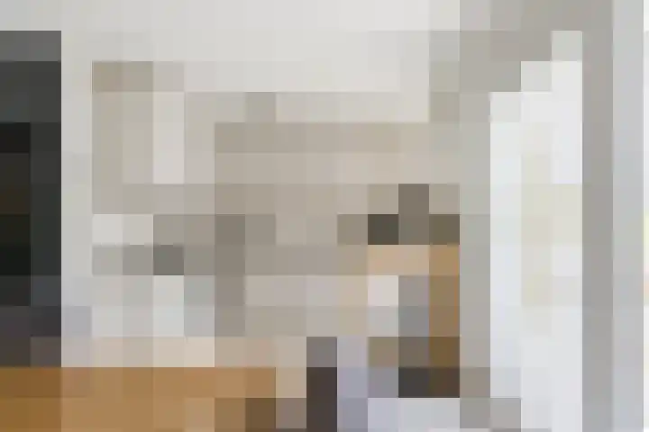 Krommeniestraat 62 Tilburg thumbnail 7