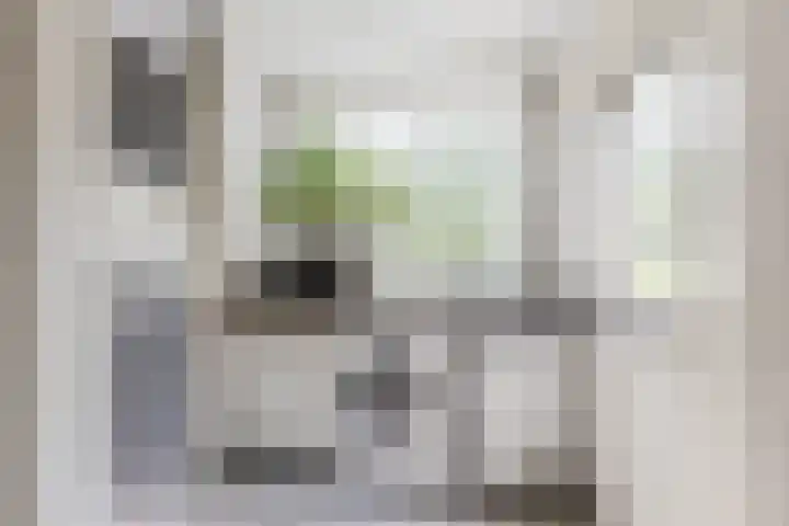 Krommeniestraat 62 Tilburg thumbnail 9