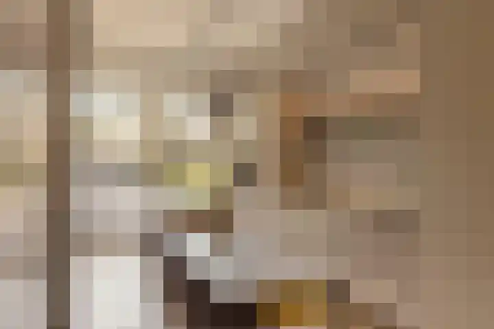 Krommeniestraat 77 Amsterdam thumbnail 10