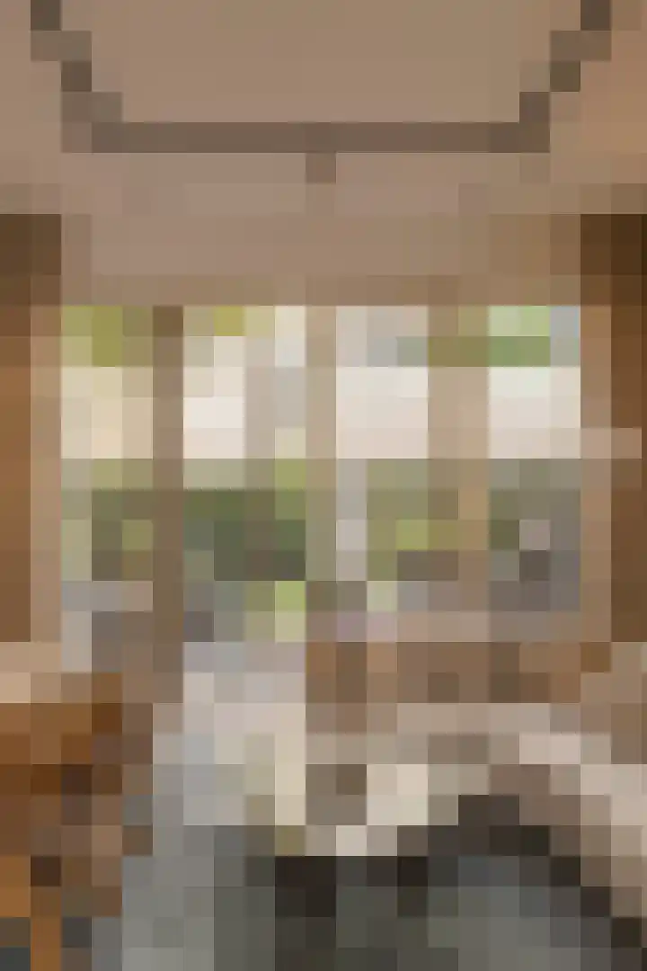Krommeniestraat 77 Amsterdam thumbnail 15