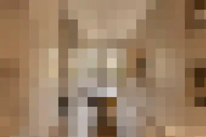 Krommeniestraat 77 Amsterdam thumbnail 19