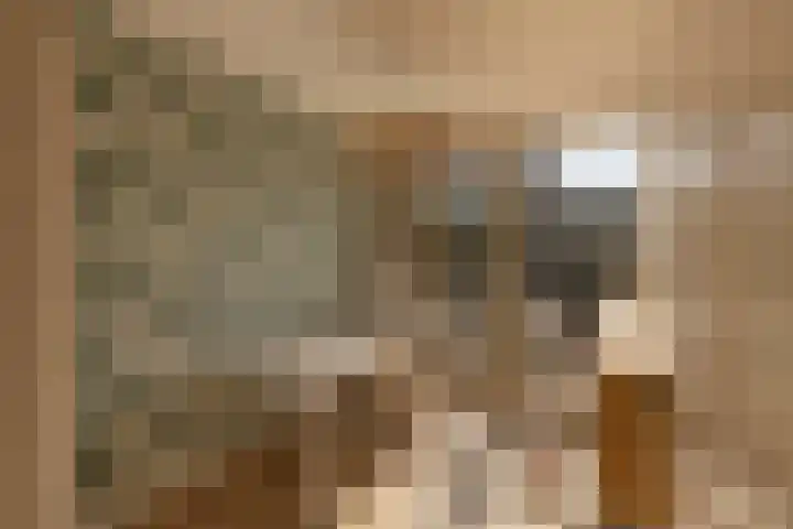 Krommeniestraat 77 Amsterdam thumbnail 34