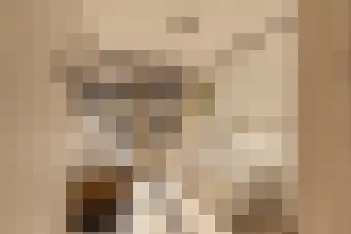 Krommeniestraat 77 Amsterdam thumbnail 36