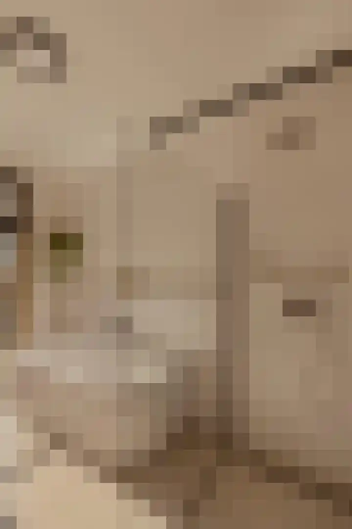 Krommeniestraat 77 Amsterdam thumbnail 37