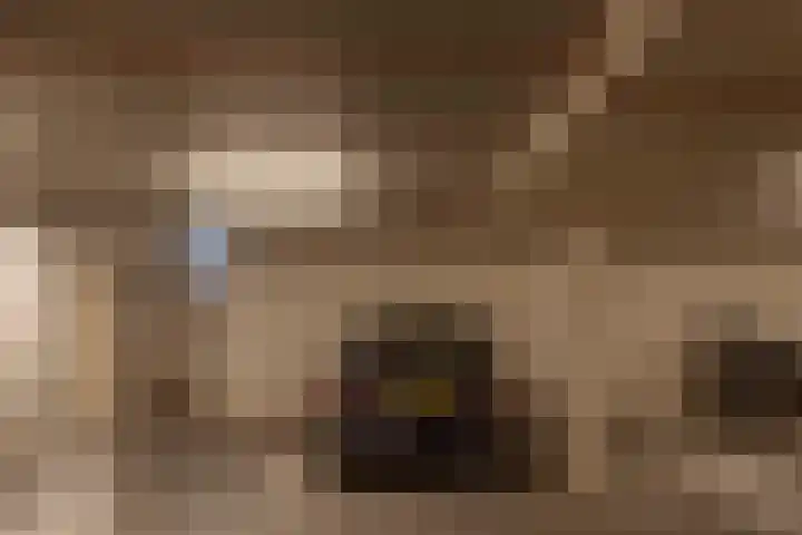 Krommeniestraat 77 Amsterdam thumbnail 42