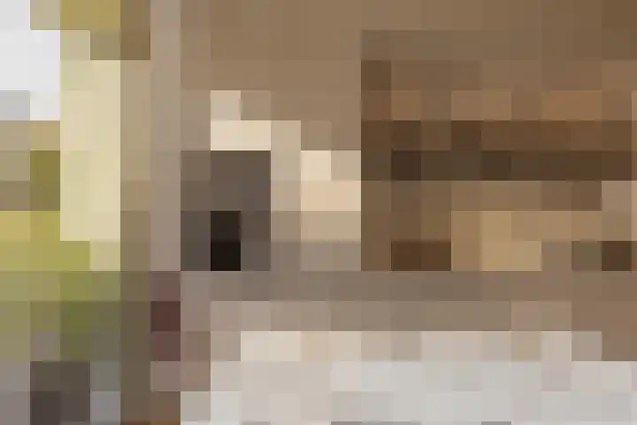 Krommeniestraat 77 Amsterdam thumbnail 7