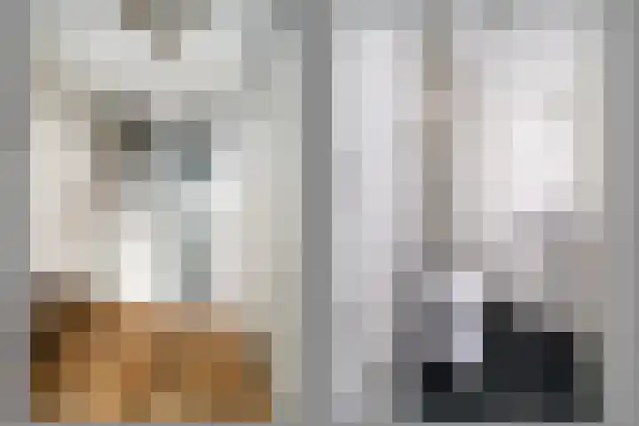 Krommenoord 20 Rotterdam thumbnail 11